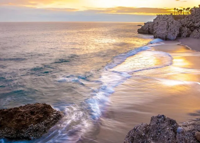 Atico Platero * ネルハ